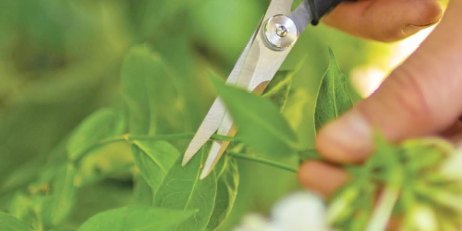 Set Your Alarm! Free Garden Snips at Lowe’s on 6/14