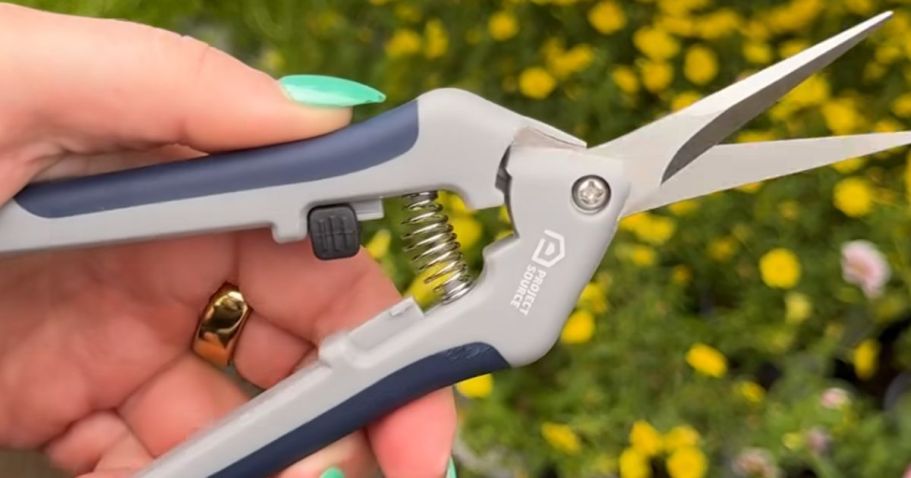 Free Garden Snips Today at Lowe’s (Starts at 10AM)